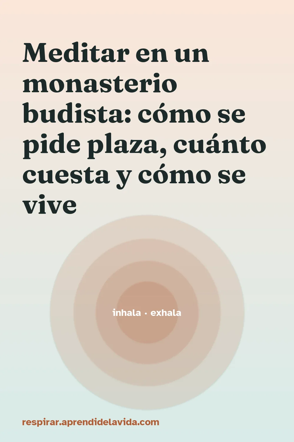 Meditar en un monasterio budista: cómo se pide plaza, cuánto cuesta y cómo se vive